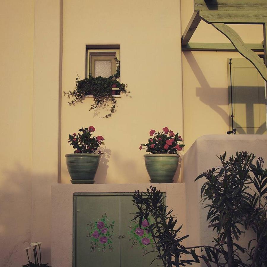 Flower And Crafts - The Eco Nature House Monolithos  Exterior photo