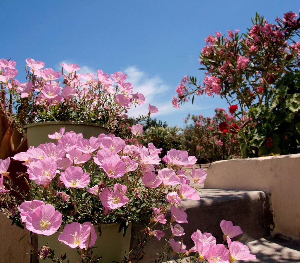 Flower And Crafts - The Eco Nature House Monolithos  Exterior photo